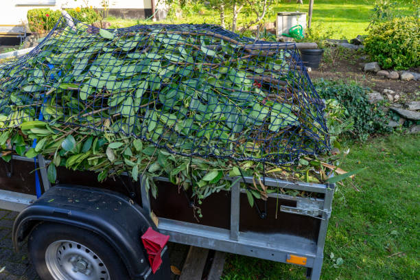 Best Same-Day Junk Removal Services  in Eagle, NE